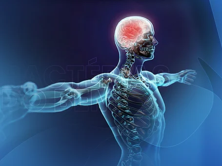 e48b8d_9645067f69314d8cbe1ab675a426db5c~mv2